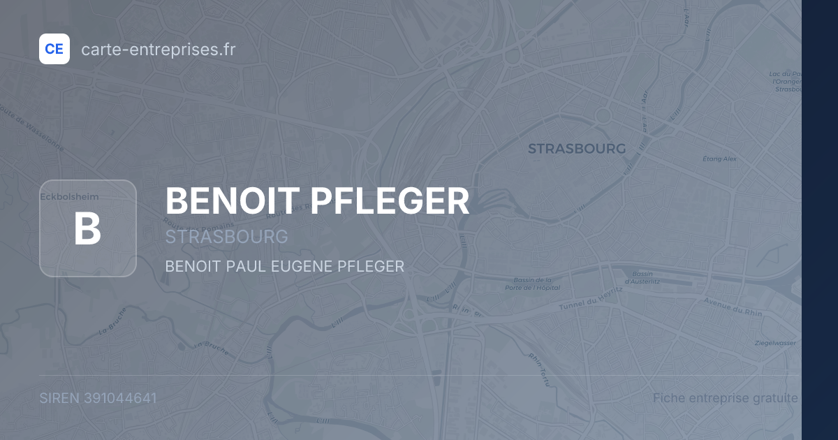 BENOIT PFLEGER — 391044641 — fiche entreprise