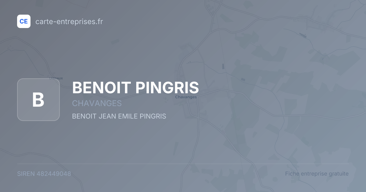 BENOIT PINGRIS — 482449048 — fiche entreprise