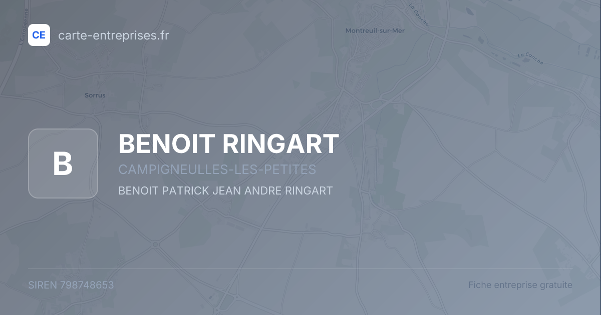 BENOIT RINGART — 798748653 — fiche entreprise