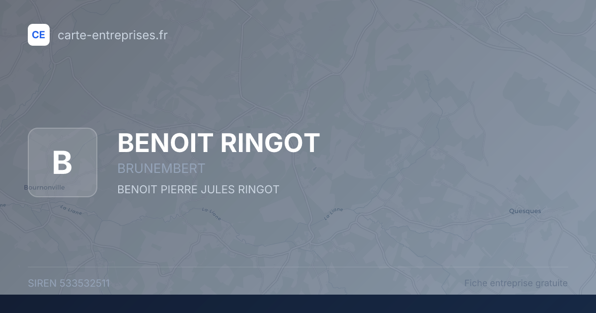 BENOIT RINGOT — 533532511 — fiche entreprise