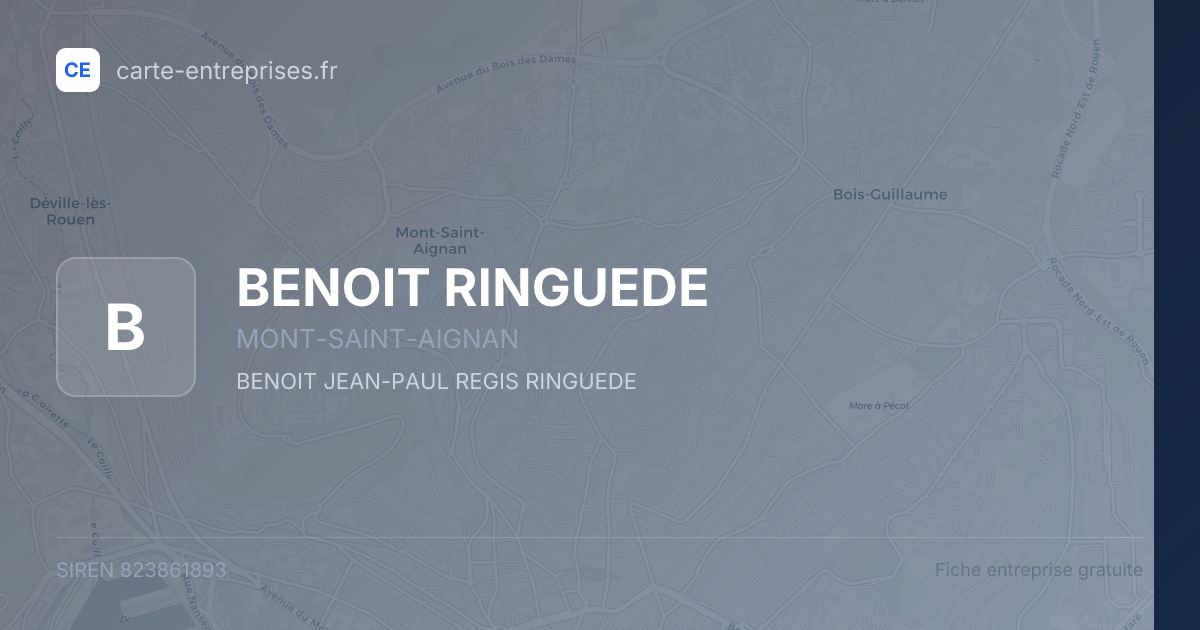 BENOIT RINGUEDE — 823861893 — fiche entreprise