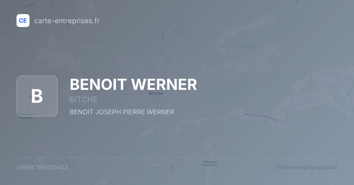 BENOIT WERNER — 798820403 — fiche entreprise