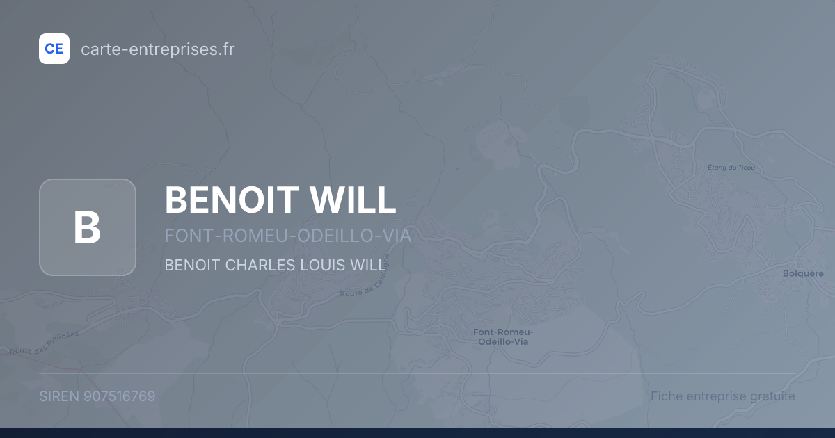 BENOIT WILL — 907516769 — fiche entreprise