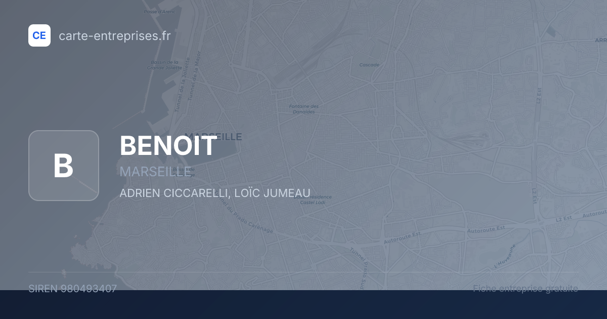 BENOIT — 980493407 — fiche entreprise
