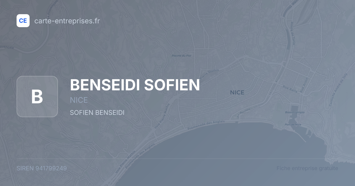 BENSEIDI SOFIEN — 941799249 — fiche entreprise