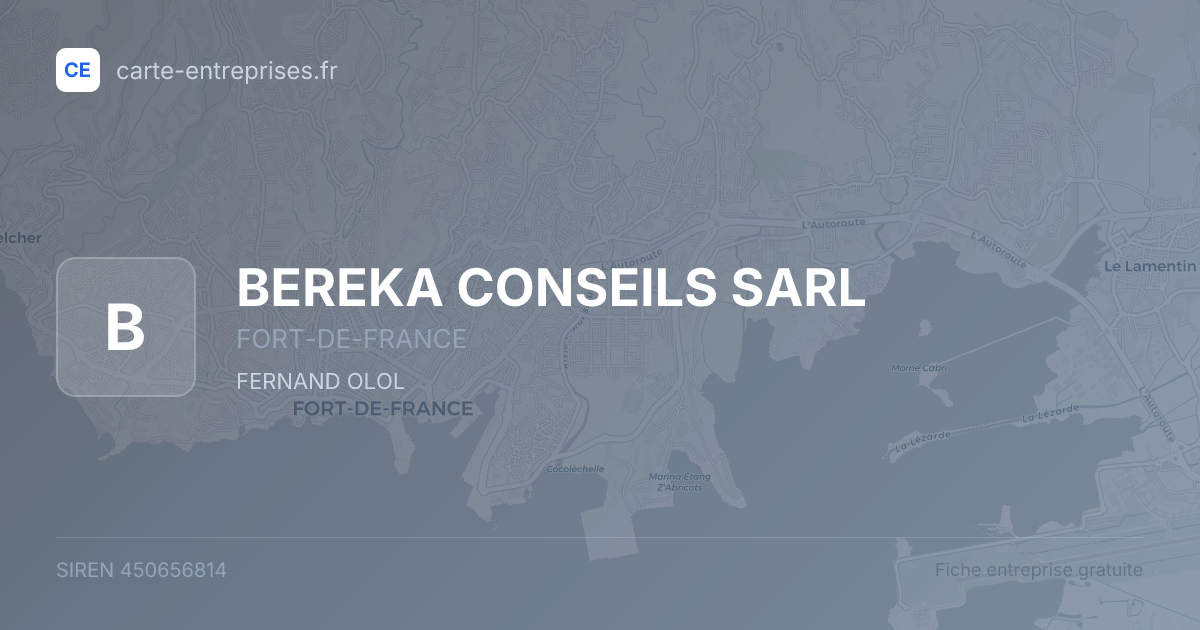 BEREKA CONSEILS SARL — 450656814 — fiche entreprise