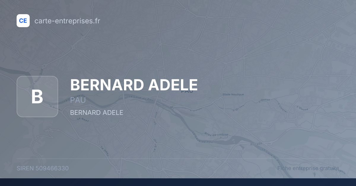 BERNARD ADELE — 509466330 — fiche entreprise