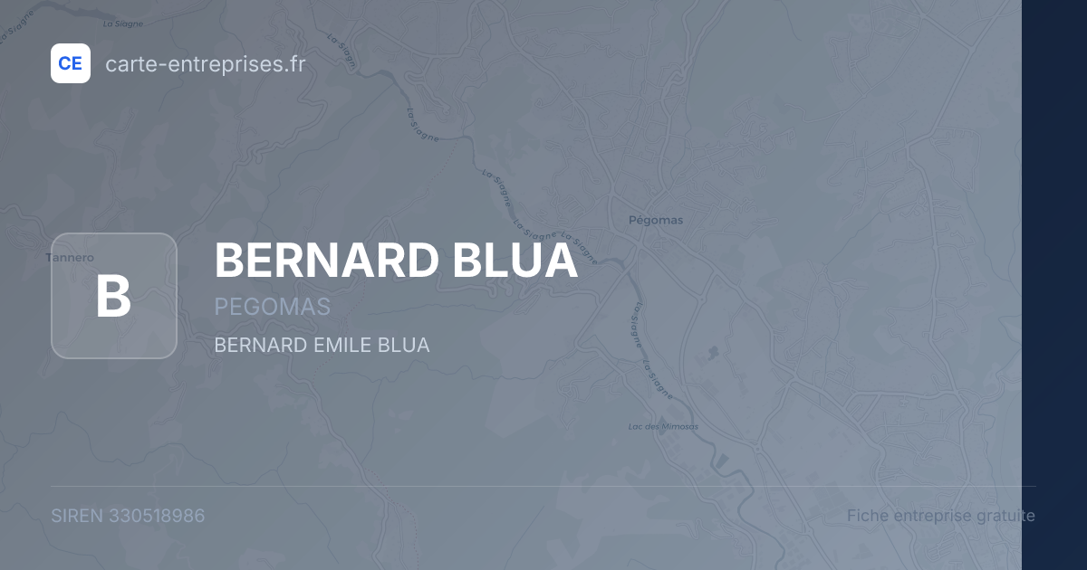 BERNARD BLUA — 330518986 — fiche entreprise
