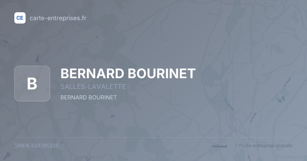 BERNARD BOURINET — 339795320 — fiche entreprise