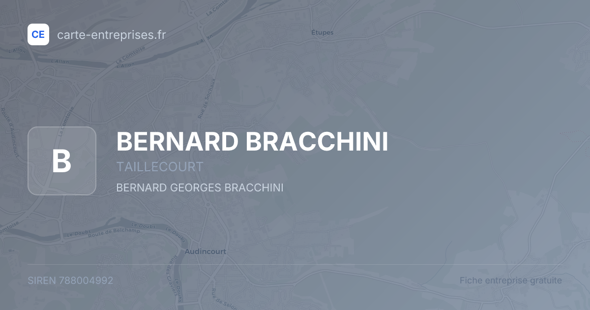 BERNARD BRACCHINI — 788004992 — fiche entreprise