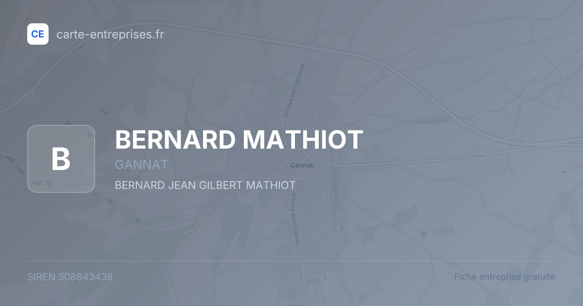 BERNARD MATHIOT — 308643436 — fiche entreprise