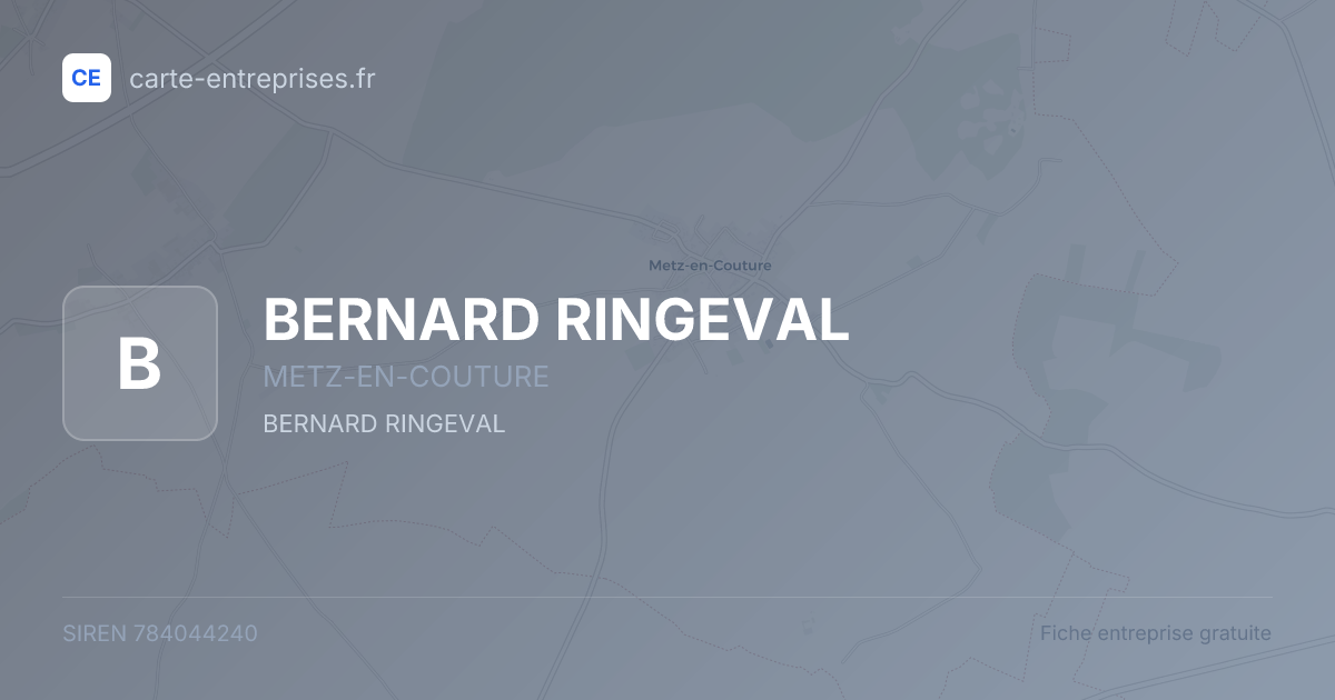 BERNARD RINGEVAL — 784044240 — fiche entreprise