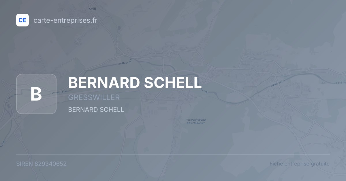BERNARD SCHELL — 829340652 — fiche entreprise
