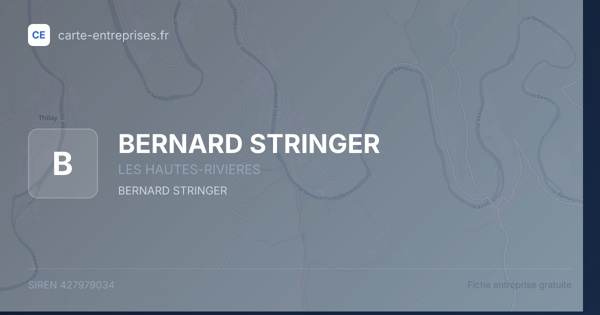 BERNARD STRINGER — 427979034 — fiche entreprise