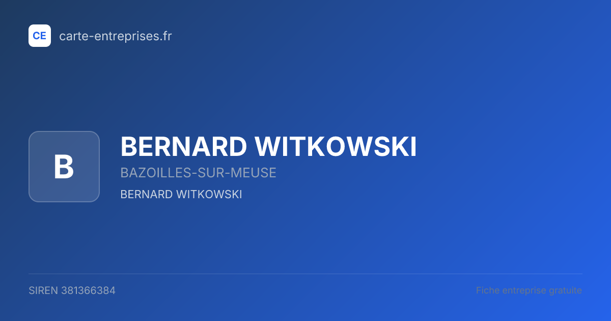 BERNARD WITKOWSKI — 381366384 — fiche entreprise