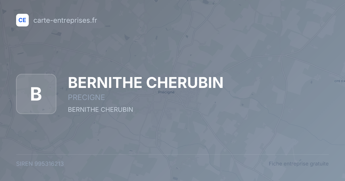 BERNITHE CHERUBIN — 995316213 — fiche entreprise