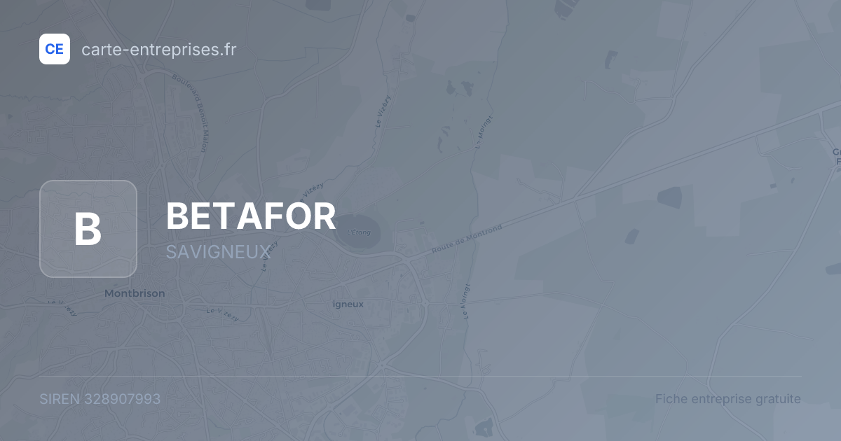 BETAFOR — 328907993 — fiche entreprise