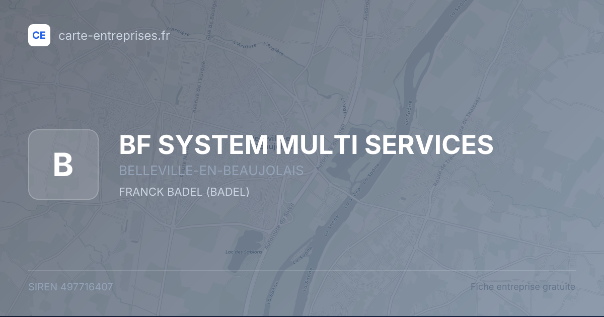 BF SYSTEM MULTI SERVICES — 497716407 — fiche entreprise