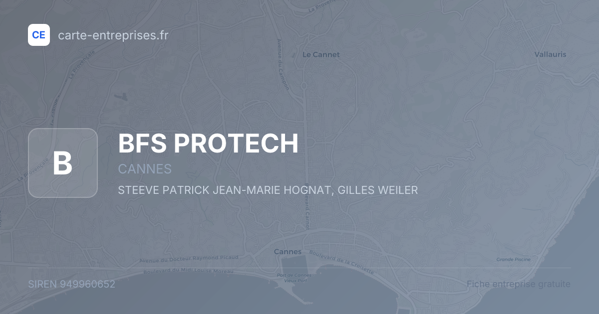 BFS PROTECH — 949960652 — fiche entreprise