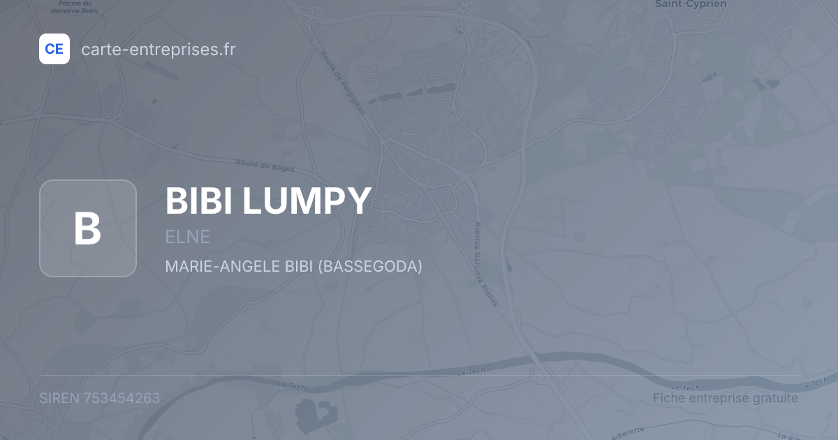 BIBI LUMPY — 753454263 — fiche entreprise