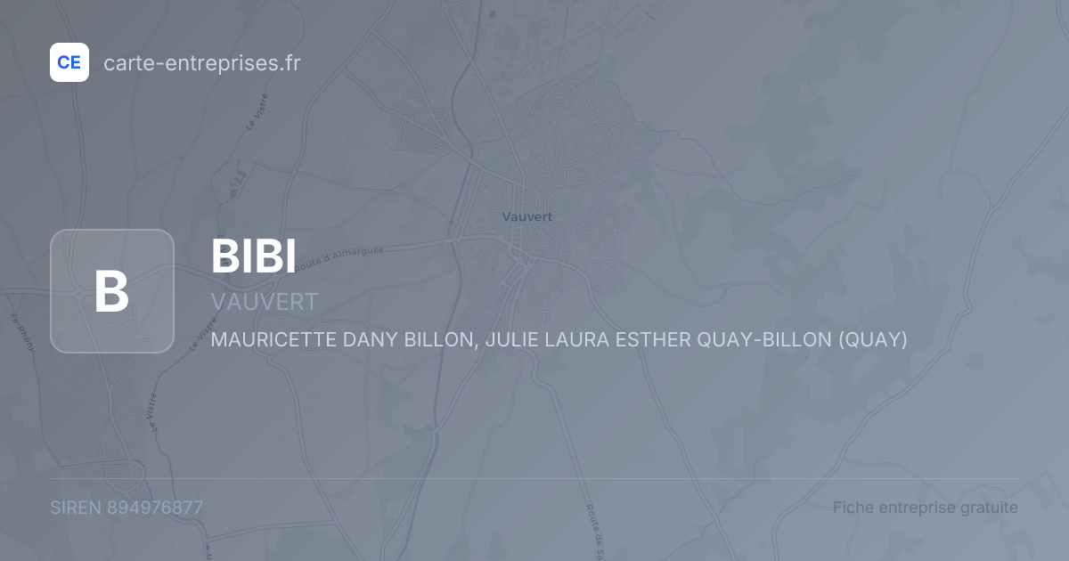BIBI — 894976877 — fiche entreprise
