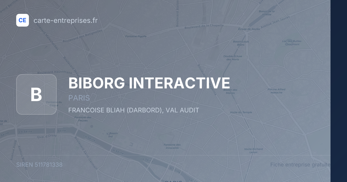 BIBORG INTERACTIVE — 511781338 — fiche entreprise