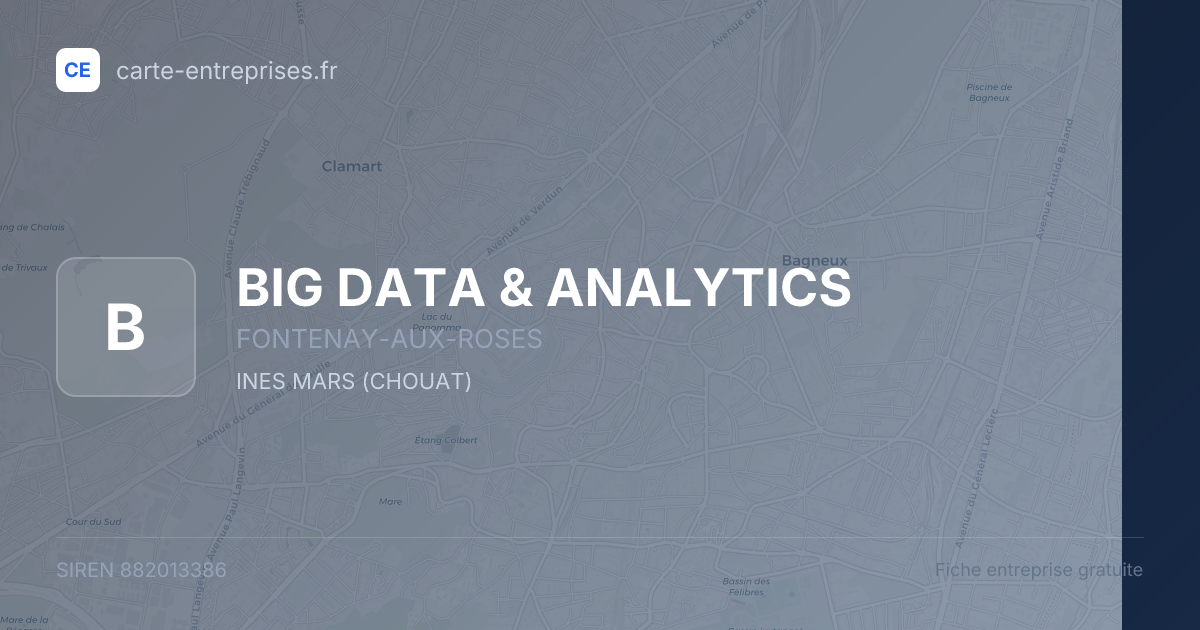 BIG DATA & ANALYTICS — 882013386 — fiche entreprise