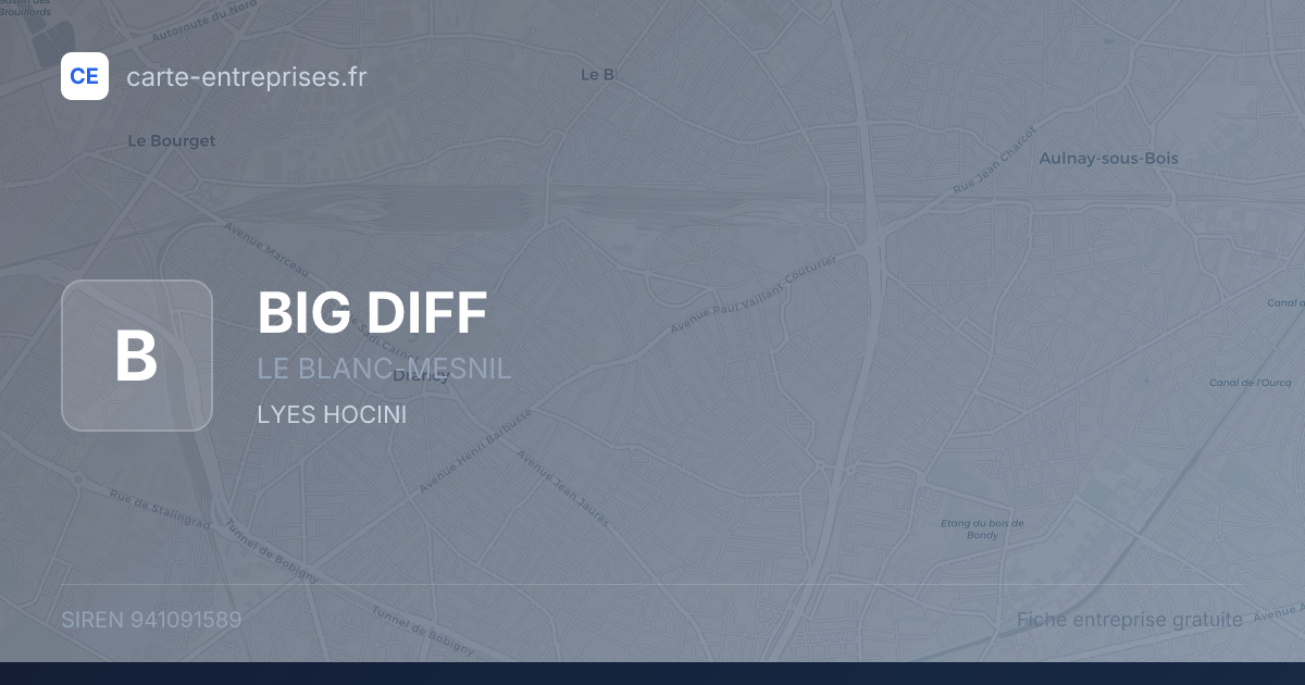 BIG DIFF — 941091589 — fiche entreprise