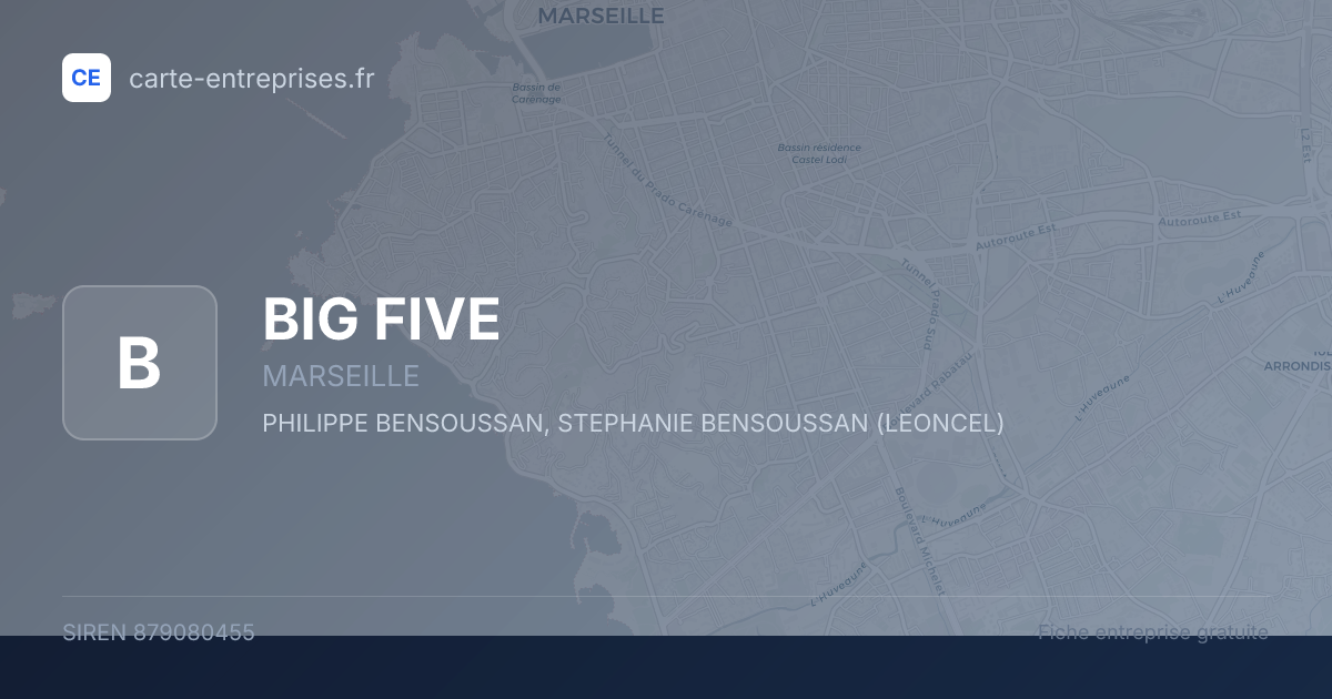 BIG FIVE — 879080455 — fiche entreprise