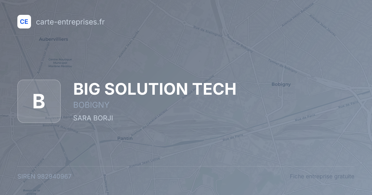 BIG SOLUTION TECH — 982940967 — fiche entreprise