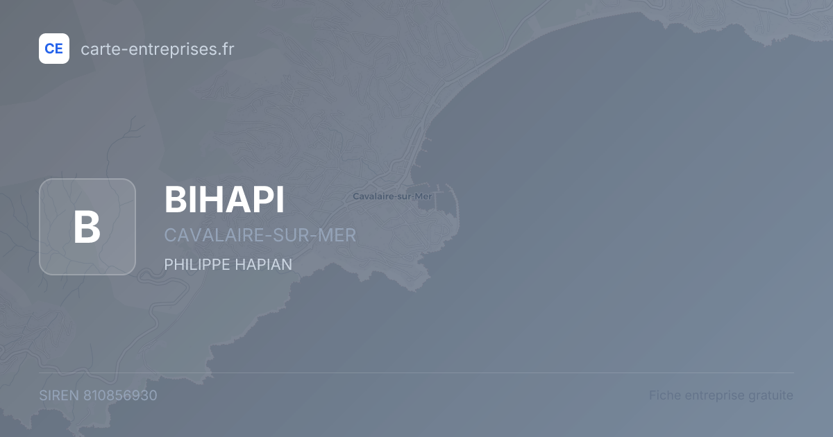 BIHAPI — 810856930 — fiche entreprise
