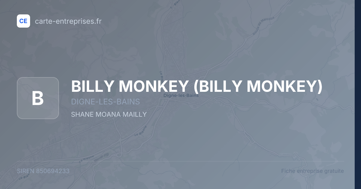 BILLY MONKEY — 850694233 — fiche entreprise