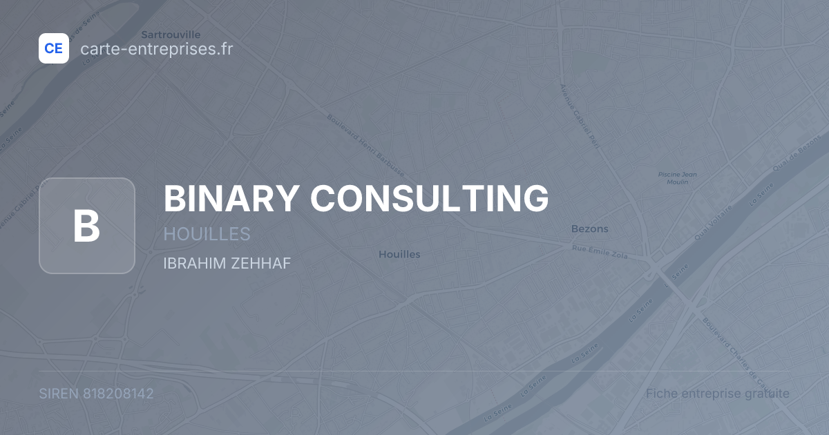 BINARY CONSULTING — 818208142 — fiche entreprise
