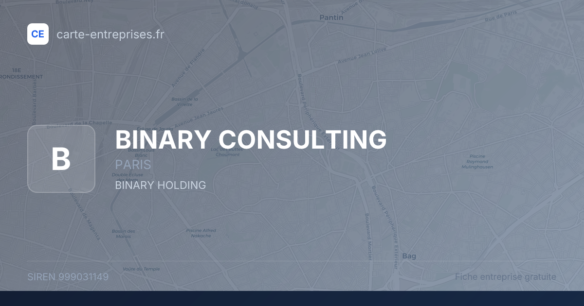 BINARY CONSULTING — 999031149 — fiche entreprise