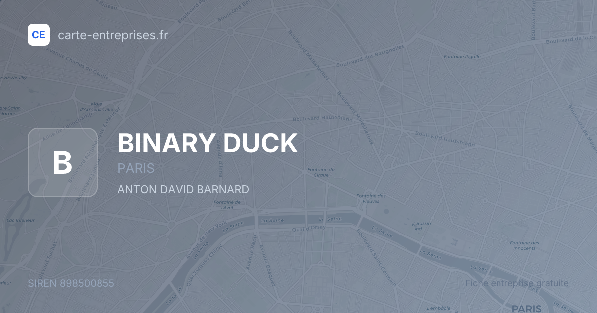 BINARY DUCK — 898500855 — fiche entreprise