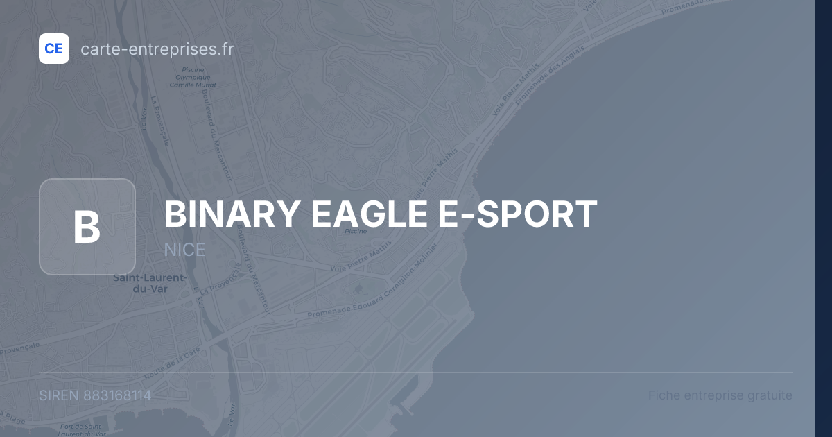 BINARY EAGLE E-SPORT — 883168114 — fiche entreprise