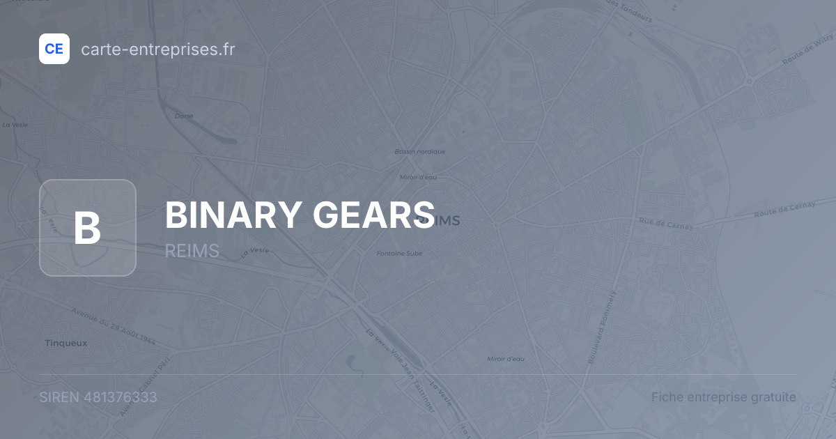 BINARY GEARS — 481376333 — fiche entreprise