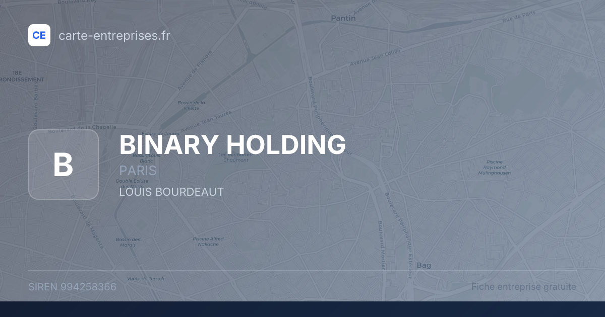 BINARY HOLDING — 994258366 — fiche entreprise