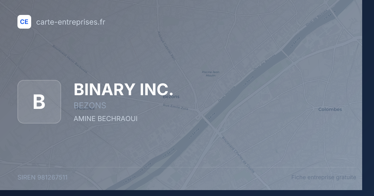 BINARY INC. — 981267511 — fiche entreprise