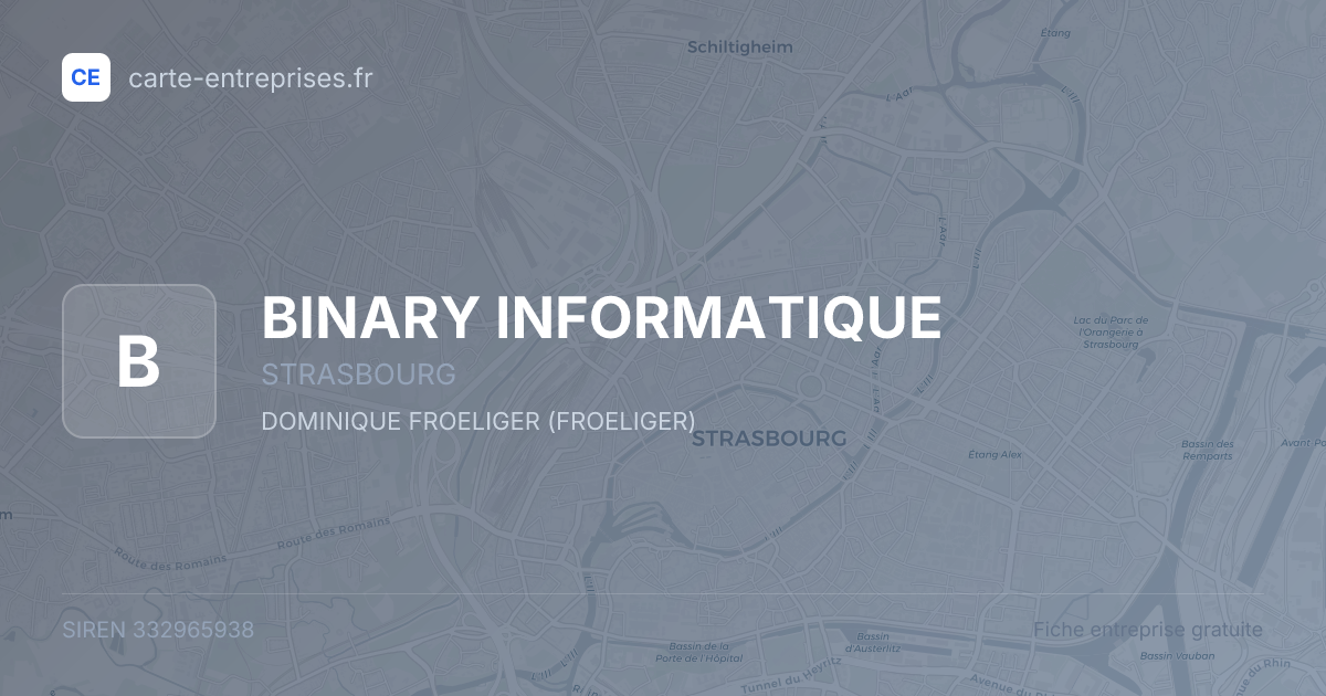 BINARY INFORMATIQUE — 332965938 — fiche entreprise