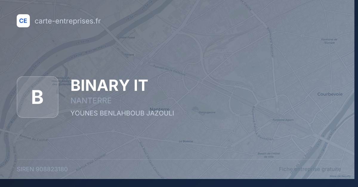 BINARY IT — 908823180 — fiche entreprise