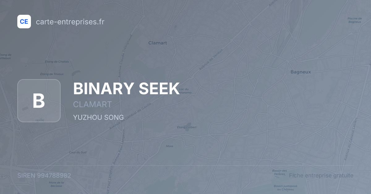 BINARY SEEK — 994788982 — fiche entreprise