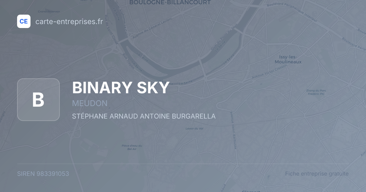 BINARY SKY — 983391053 — fiche entreprise
