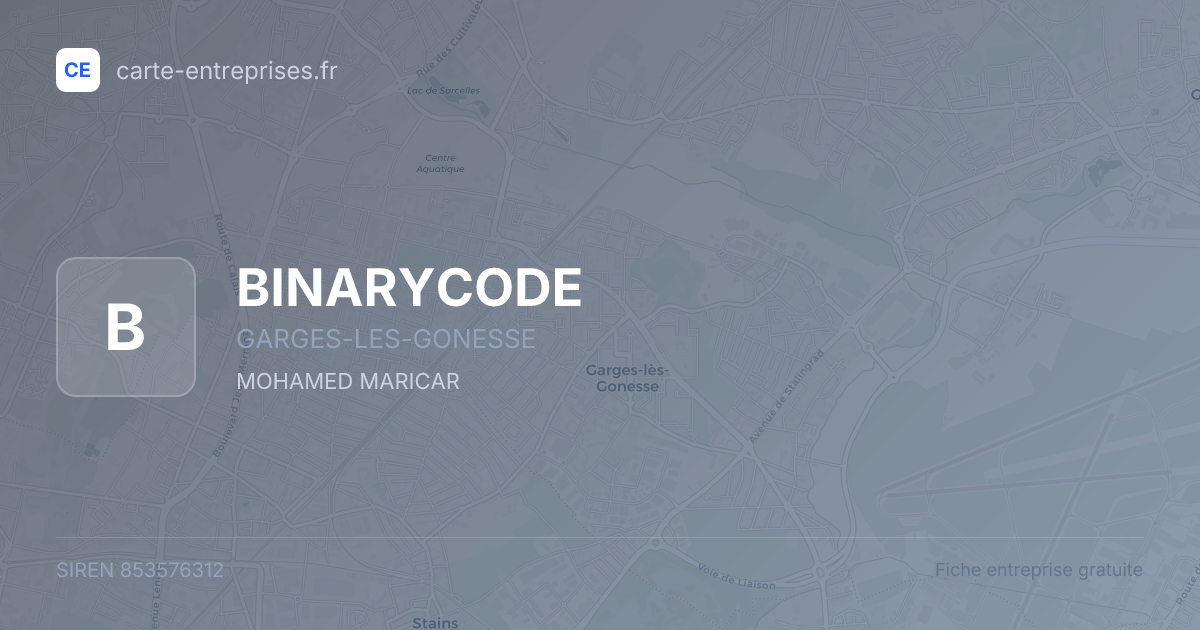 BINARYCODE — 853576312 — fiche entreprise