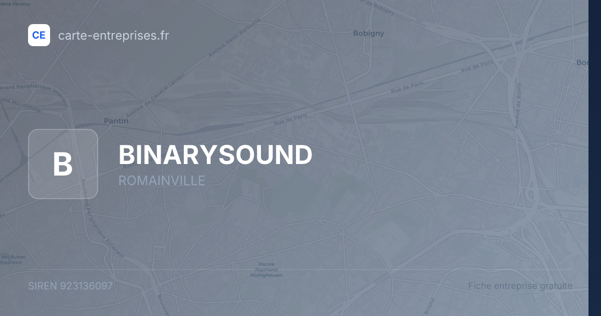 BINARYSOUND — 923136097 — fiche entreprise