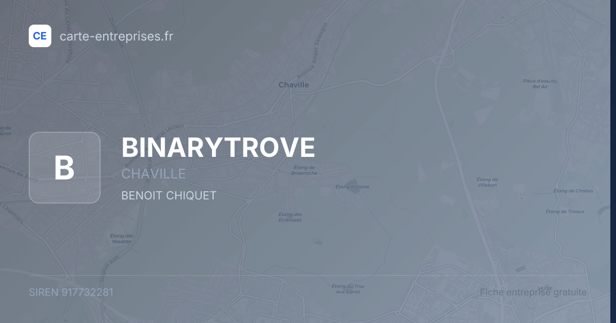 BINARYTROVE — 917732281 — fiche entreprise