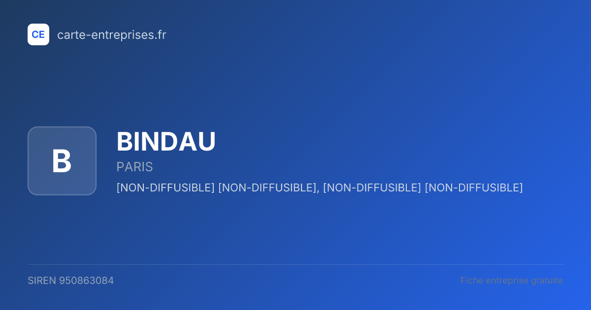 BINDAU — 950863084 — fiche entreprise