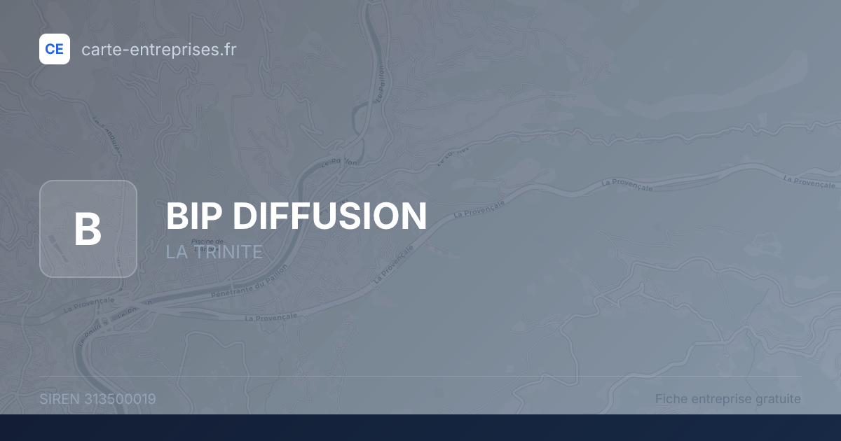 BIP DIFFUSION — 313500019 — fiche entreprise