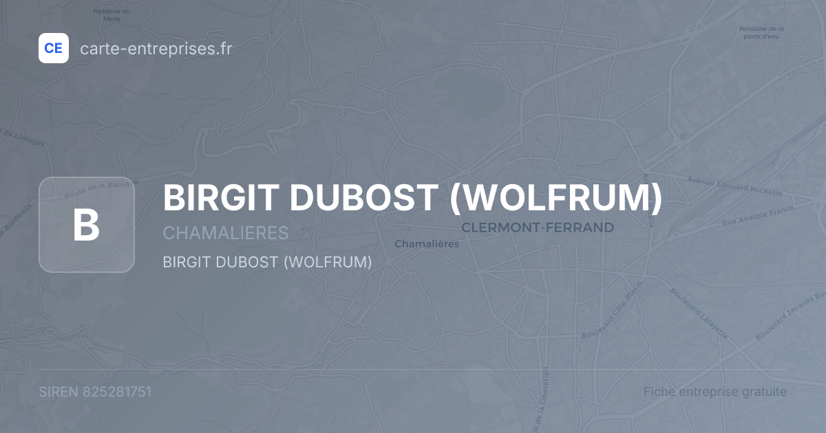 BIRGIT DUBOST (WOLFRUM) — 825281751 — fiche entreprise