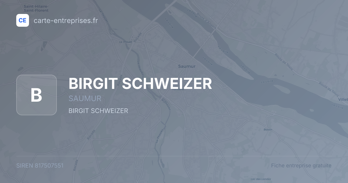 BIRGIT SCHWEIZER — 817507551 — fiche entreprise